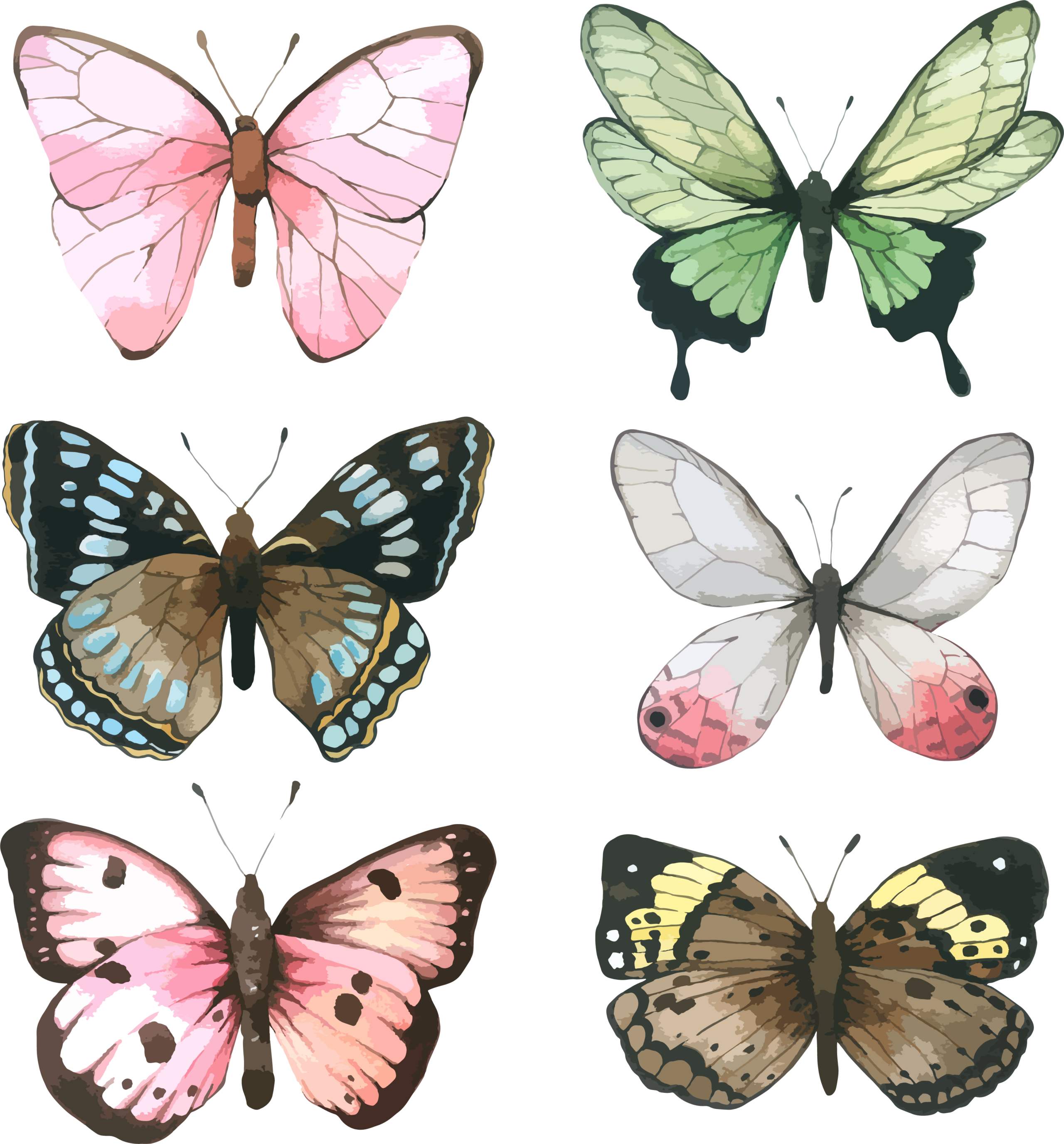 Butterflies | ThreadFather